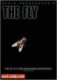 变蝇人在线观看,穿越时空的惊悚之旅  第2张